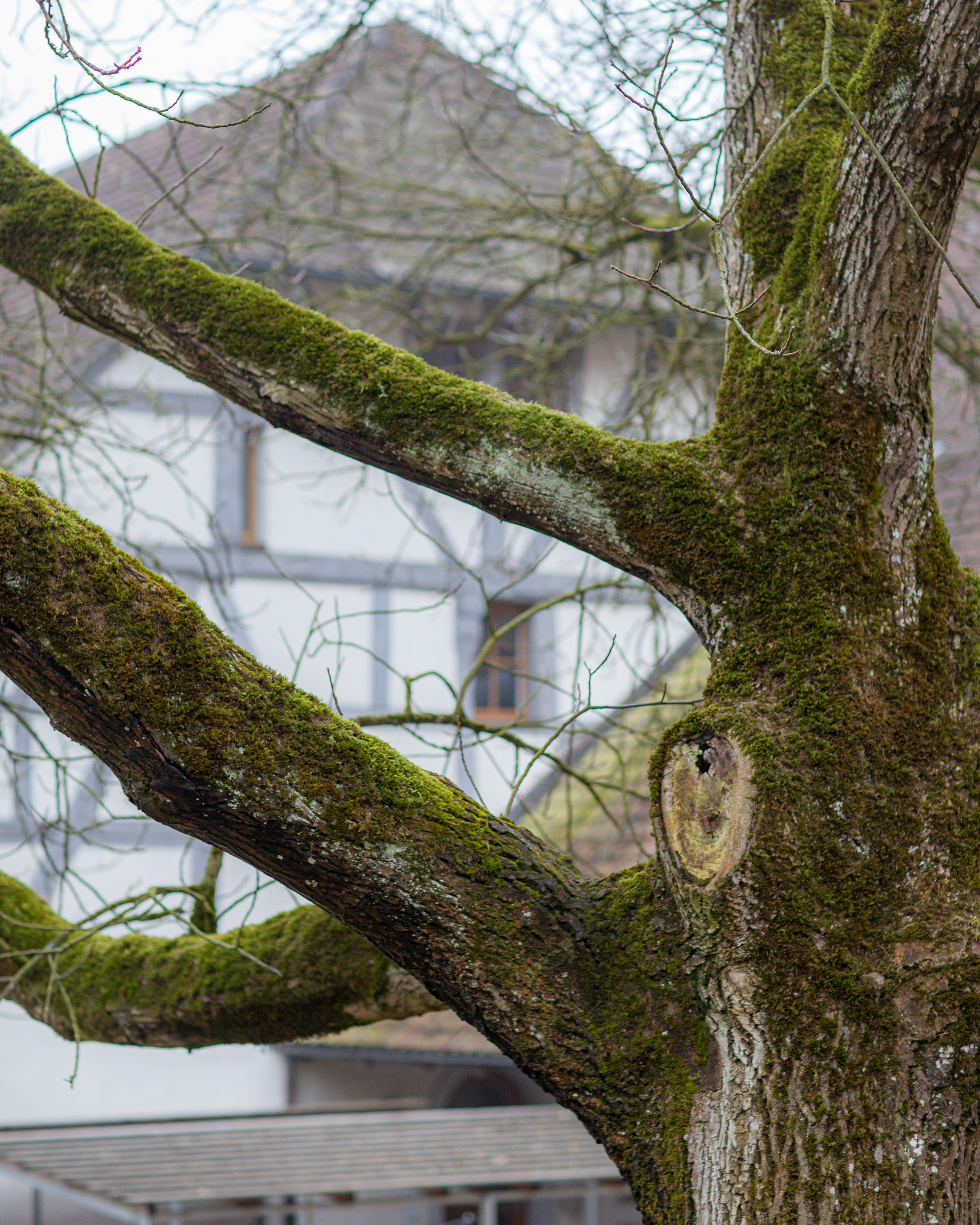 20120225074403 IMG 3389